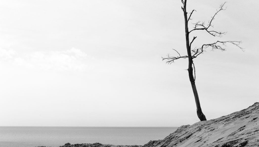IMG_4623 3